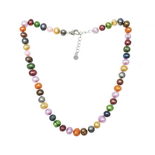 Load image into Gallery viewer, Multicolor pearl necklace
